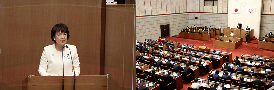 埼玉県議会